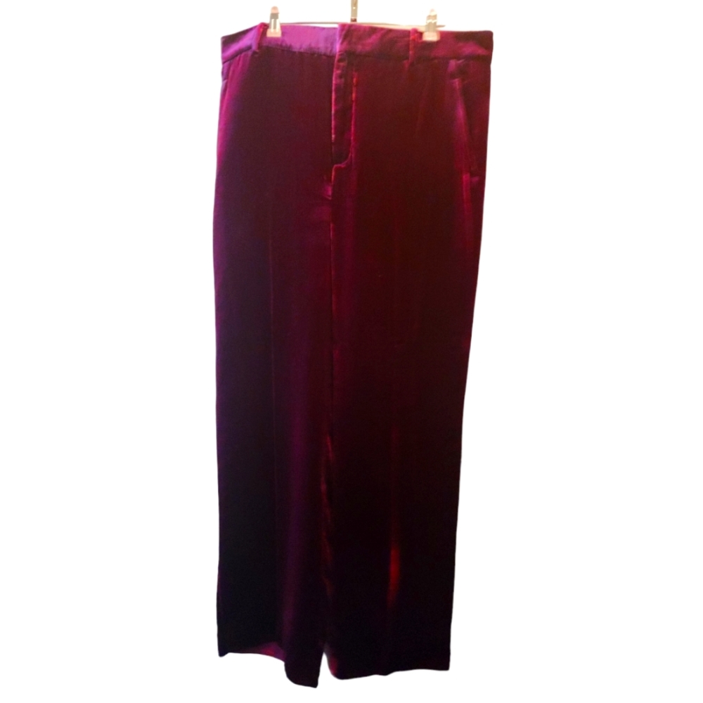 NWOT Zara Velvet pants S